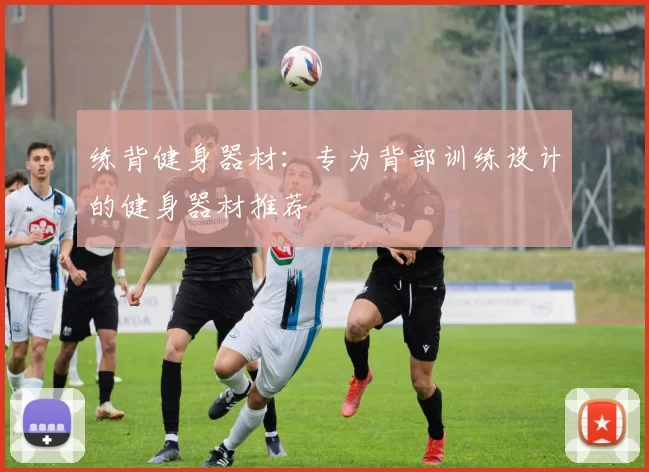 练背健身器材：专为背部训练设计的健身器材推荐