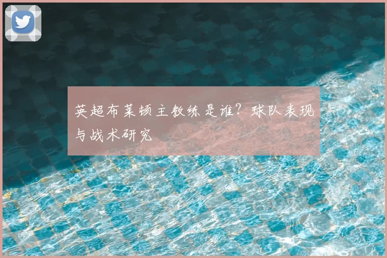 英超布莱顿主教练是谁?球队表现与战术研究