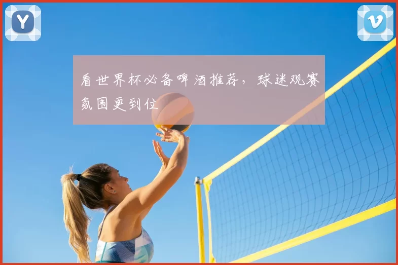 看世界杯必备啤酒推荐,球迷观赛氛围更到位