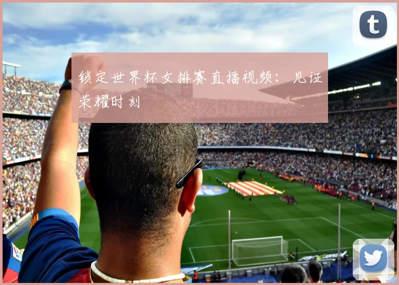 锁定世界杯女排赛直播视频：见证荣耀时刻