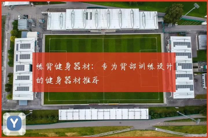 练背健身器材:专为背部训练设计的健身器材推荐