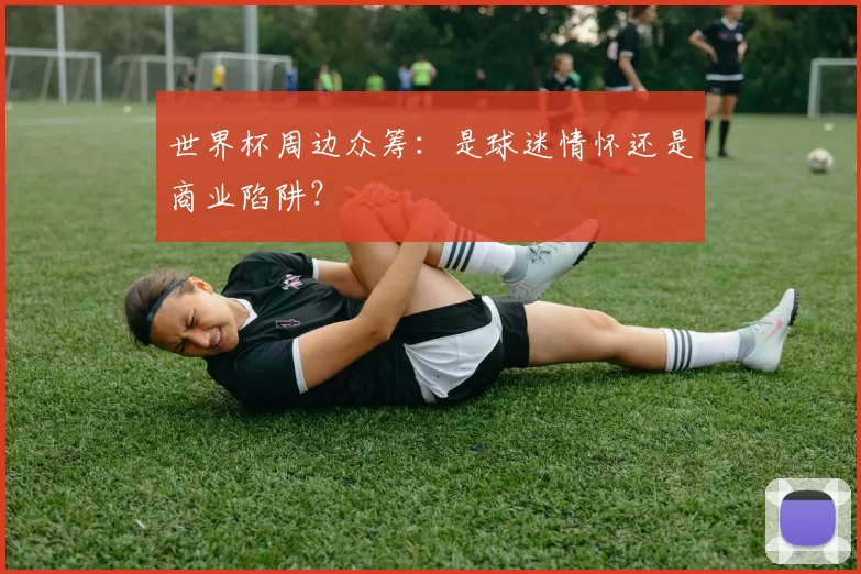 世界杯周边众筹:是球迷情怀还是商业陷阱?