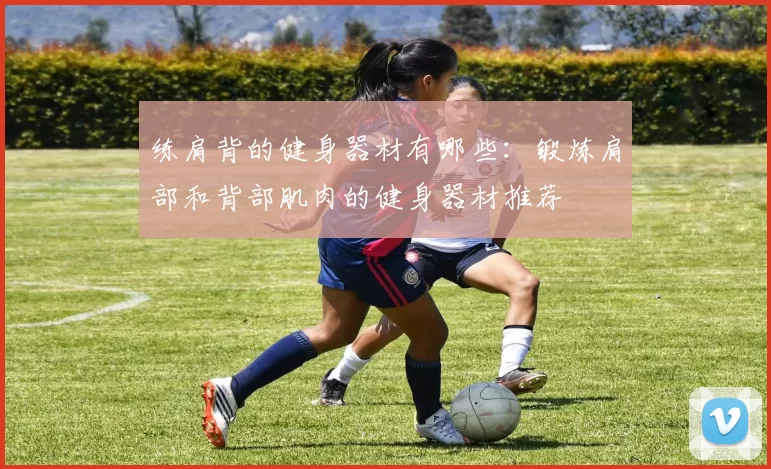 练肩背的健身器材有哪些:锻炼肩部和背部肌肉的健身器材推荐
