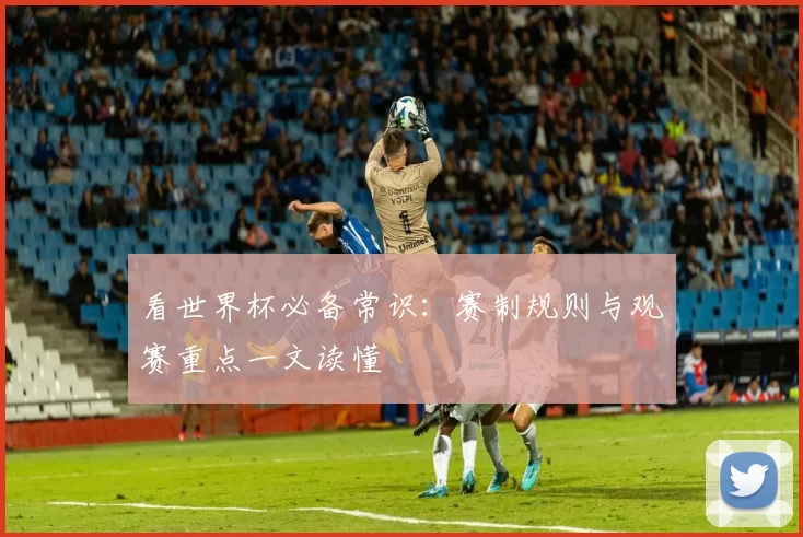 看世界杯必备常识:赛制规则与观赛重点一文读懂