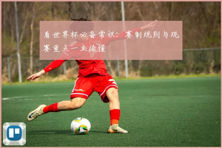 看世界杯必备常识:赛制规则与观赛重点一文读懂
